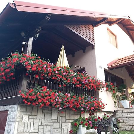 Apartment Vihor Zlatibor Exteriör bild