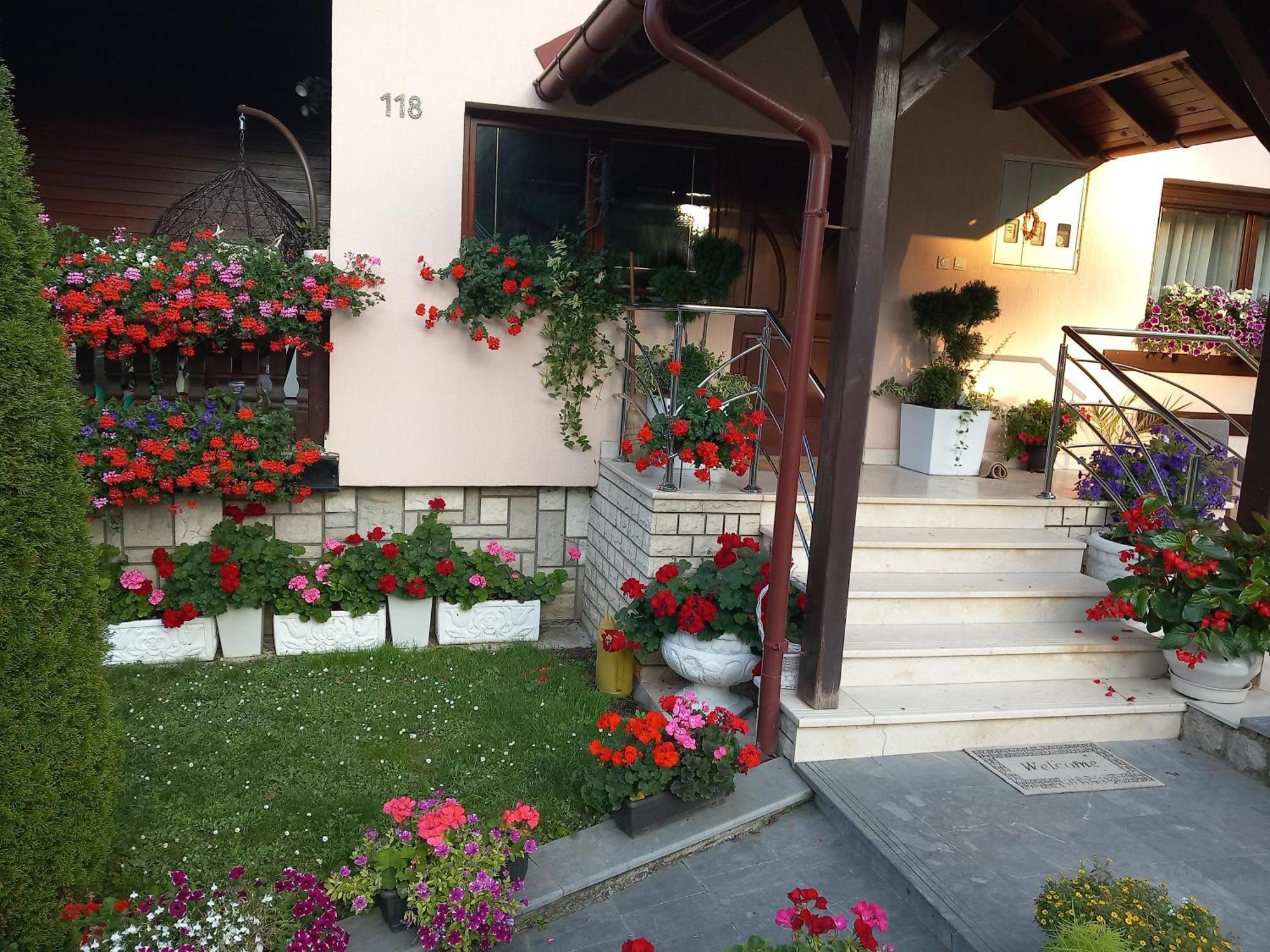 Apartment Vihor Zlatibor Exteriör bild